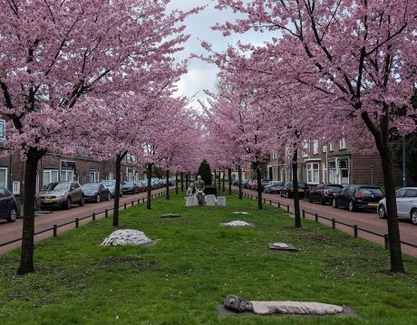 Joods monument_Foto Nadjezda Verboom